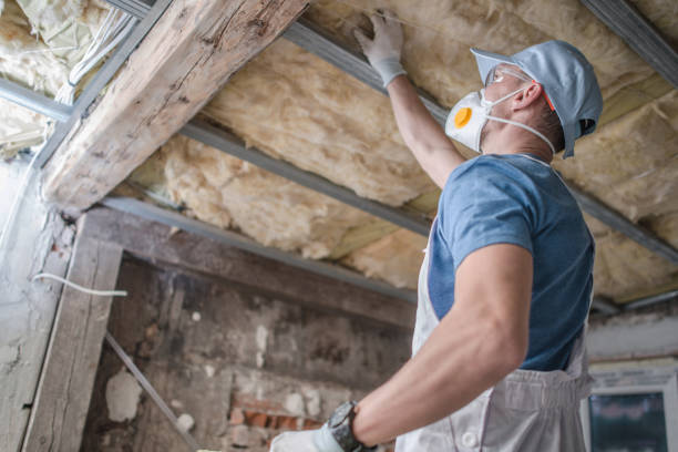 Best Residential Insulation in Elkin, NC
