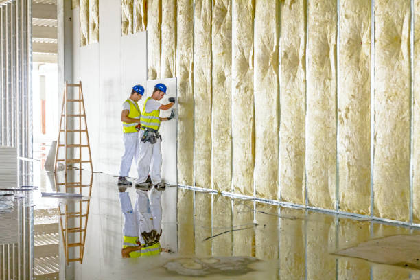 Types of Insulation We Offer in NC